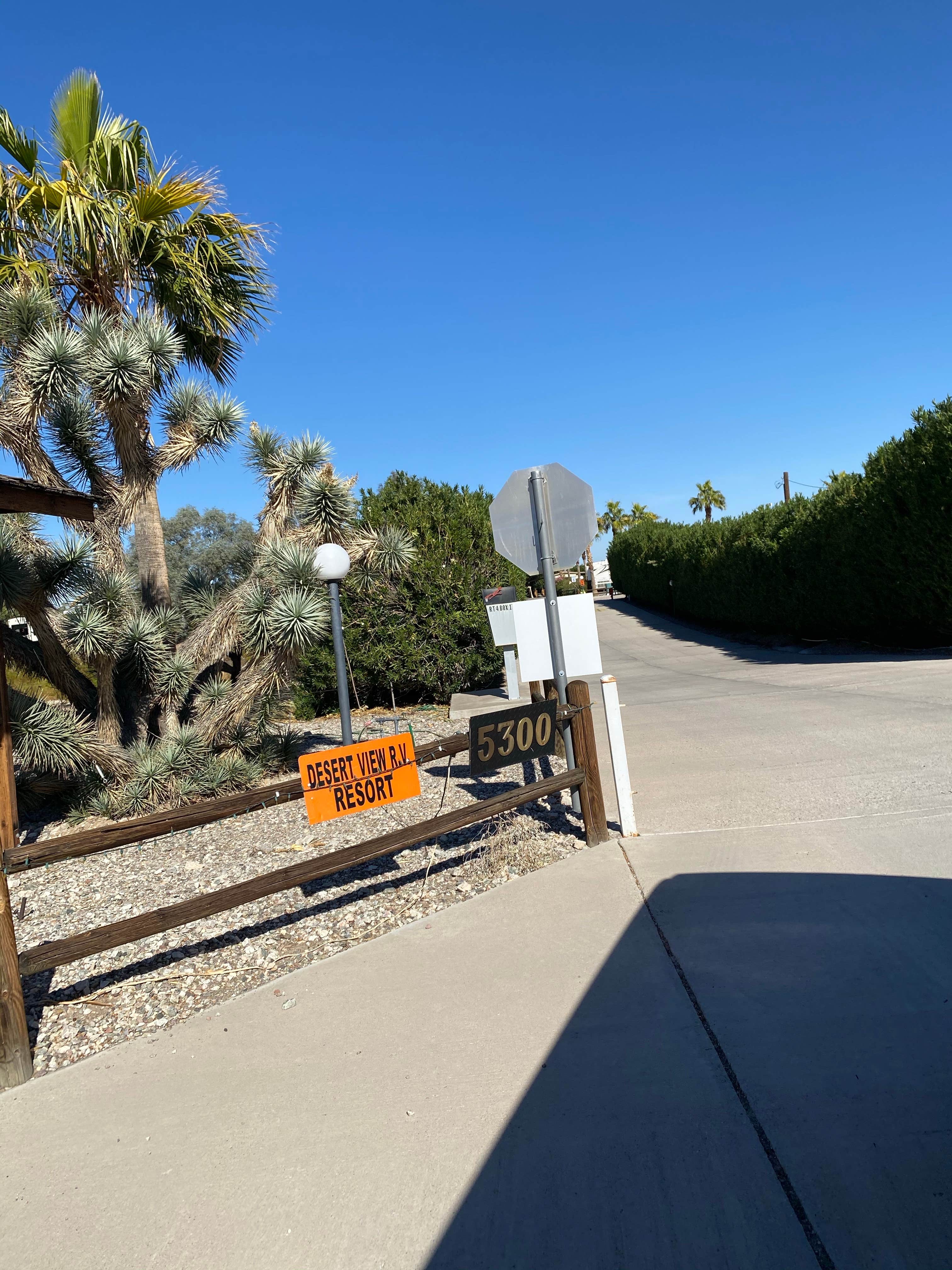 Camper-submitted photo at Desert View RV Resort near Oatman, AZ