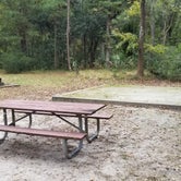 Review photo of Skidaway Island State Park Campground by L O., November 14, 2020