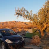 Review photo of Joshua Tree South - BLM Dispersed by Joe L., November 20, 2020