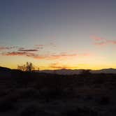 Review photo of Joshua Tree South - BLM Dispersed by Joe L., November 20, 2020