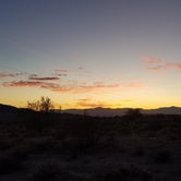 Review photo of Joshua Tree South - BLM Dispersed by Joe L., November 20, 2020