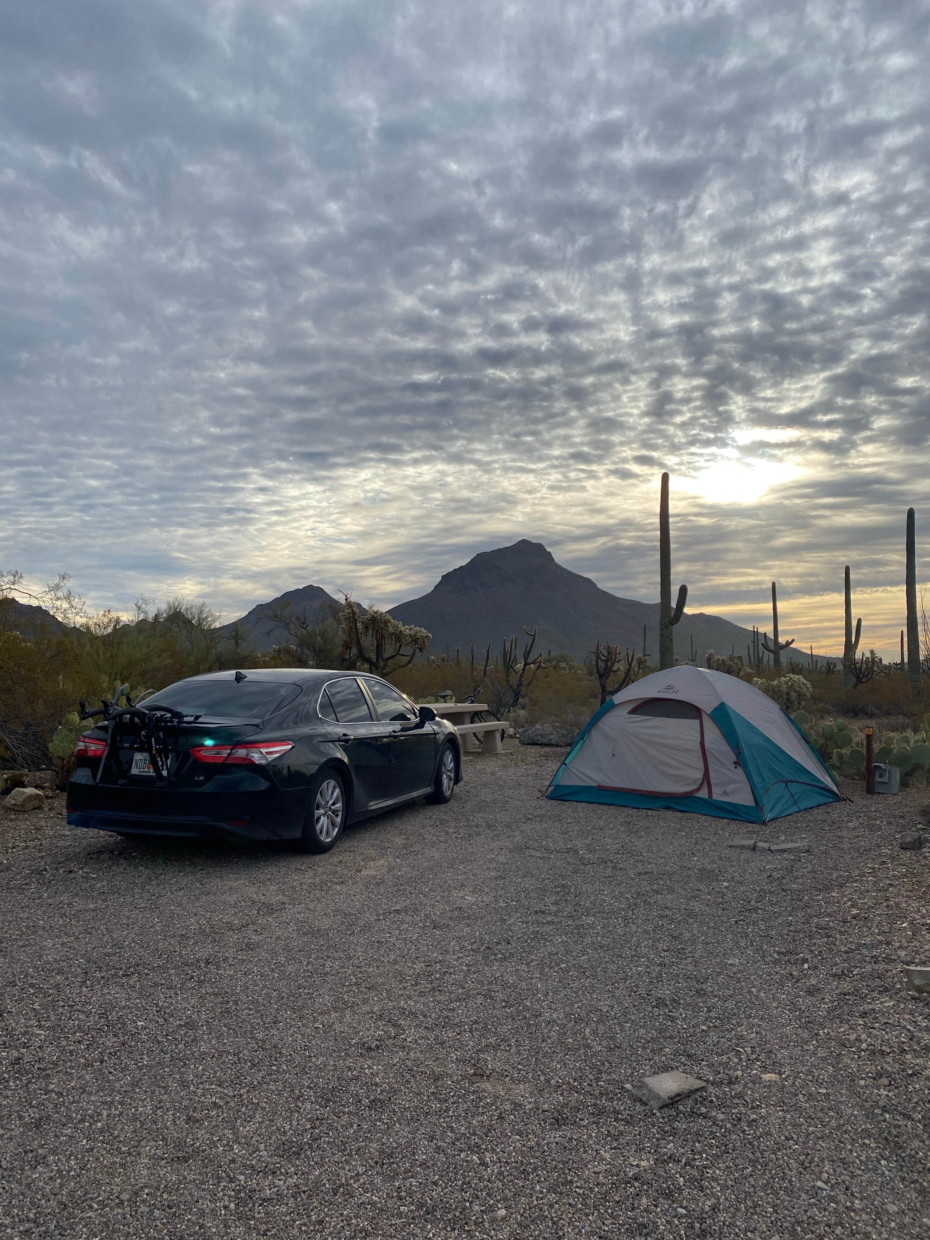 Katie M.'s photo at Gilbert Ray Campground near Oro Valley, AZ