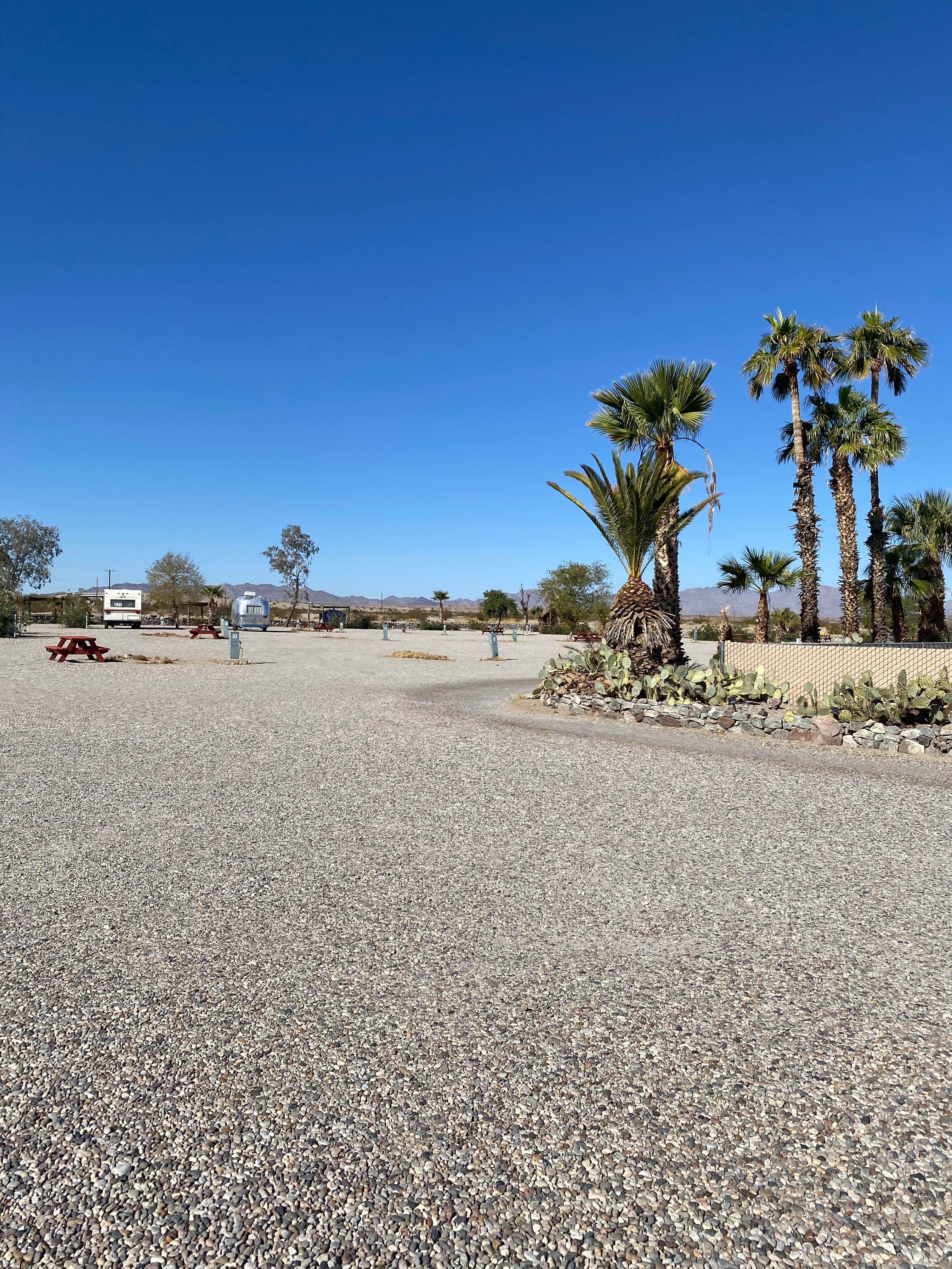 Camper-submitted photo at Needles KOA near Mojave National Preserve