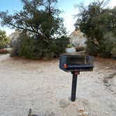 Review photo of Hidden Valley Campground — Joshua Tree National Park by Katie M., November 20, 2020