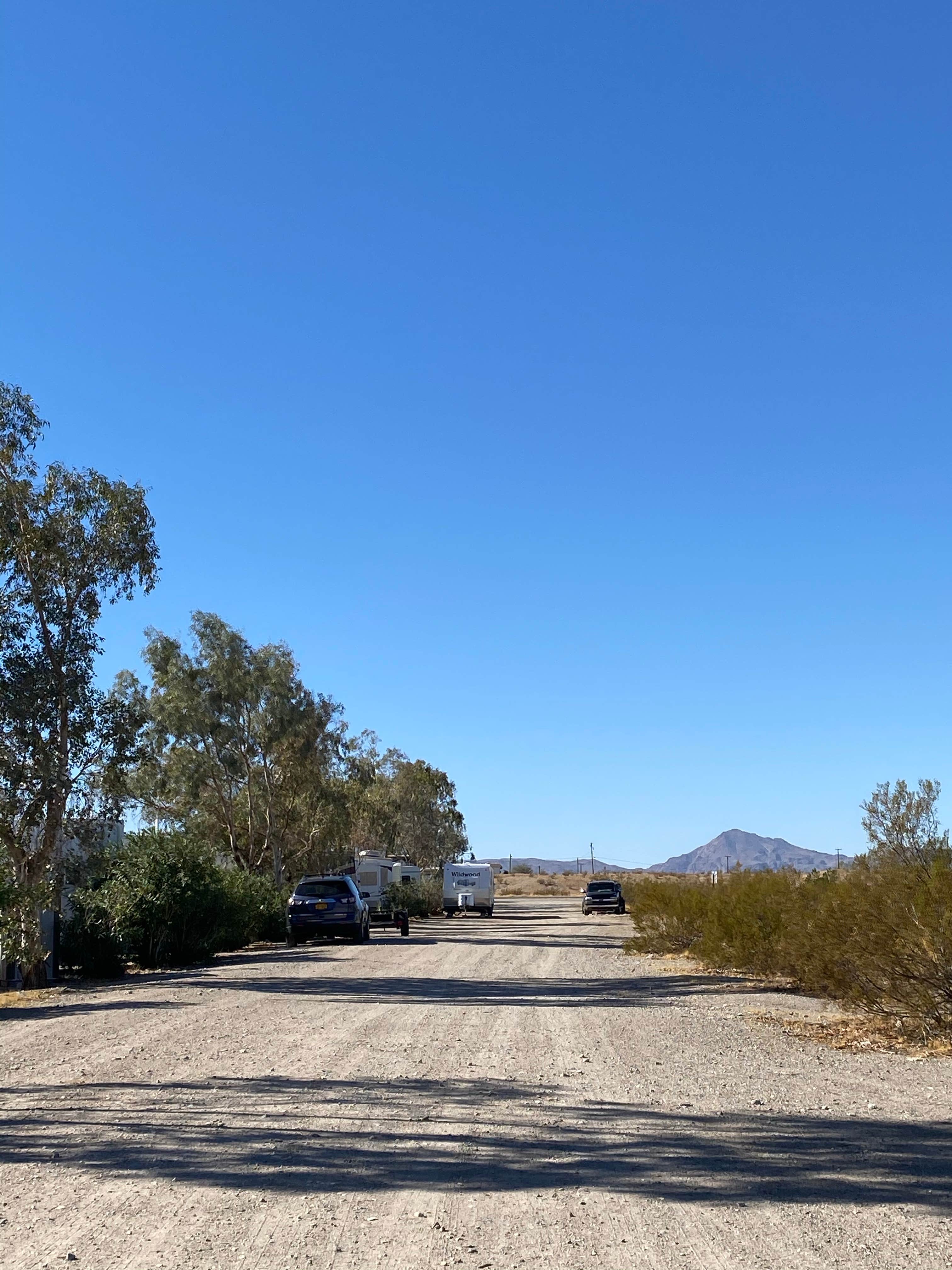 Camper-submitted photo at Calizona RV Park near Lake Havasu City, AZ