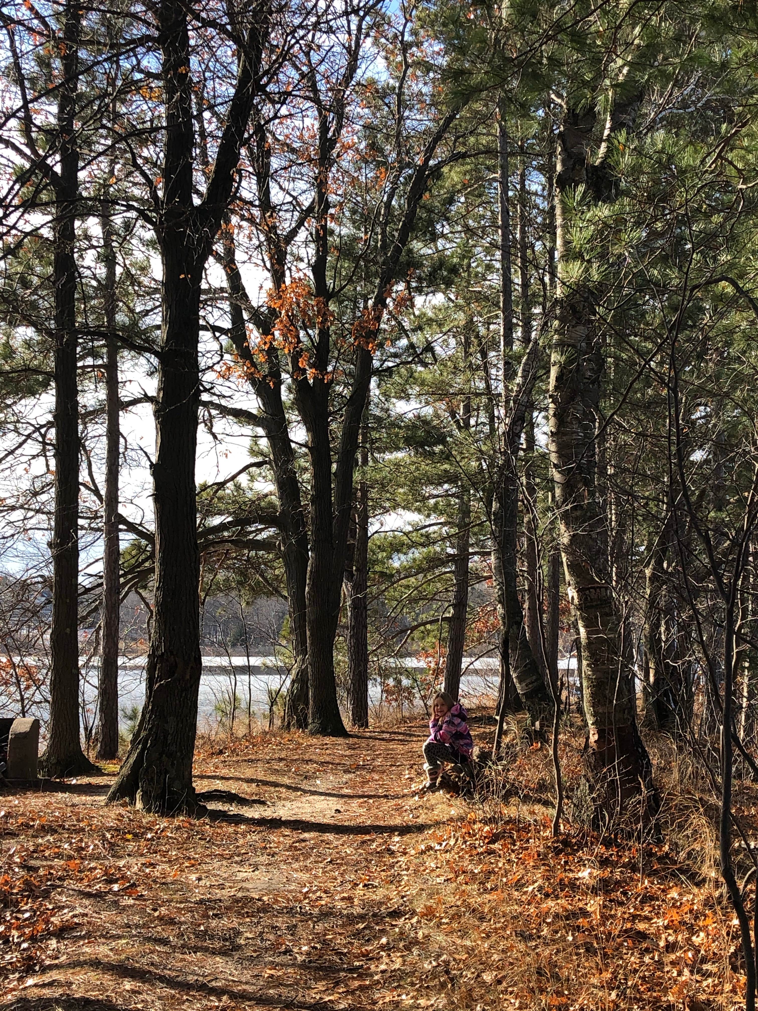 Camper submitted image from Eagle Point Park - 3