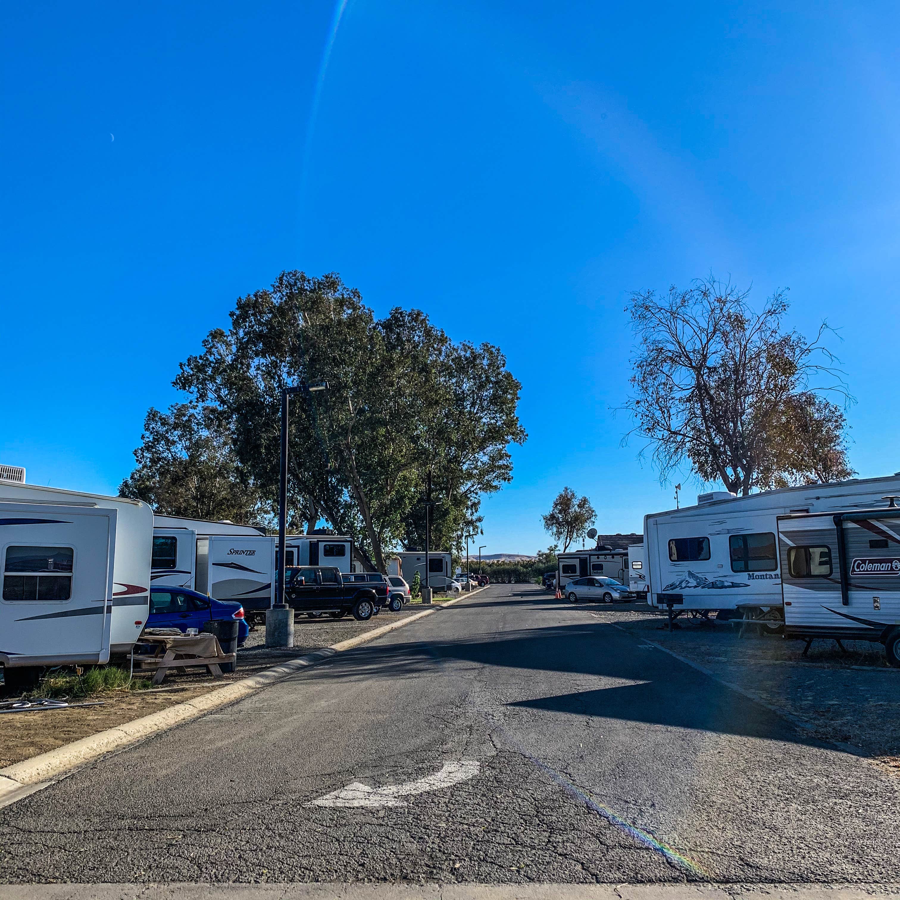 Meg R.'s photo of rv camping at Almond Tree Oasis RV Park near Visalia, CA