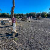 Review photo of Almond Tree Oasis RV Park by Meg R., November 20, 2020