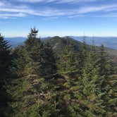 Review photo of Mount Mitchell State Park Campground by Justin Z., November 20, 2020