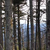 Review photo of Mount Mitchell State Park Campground by Justin Z., November 20, 2020