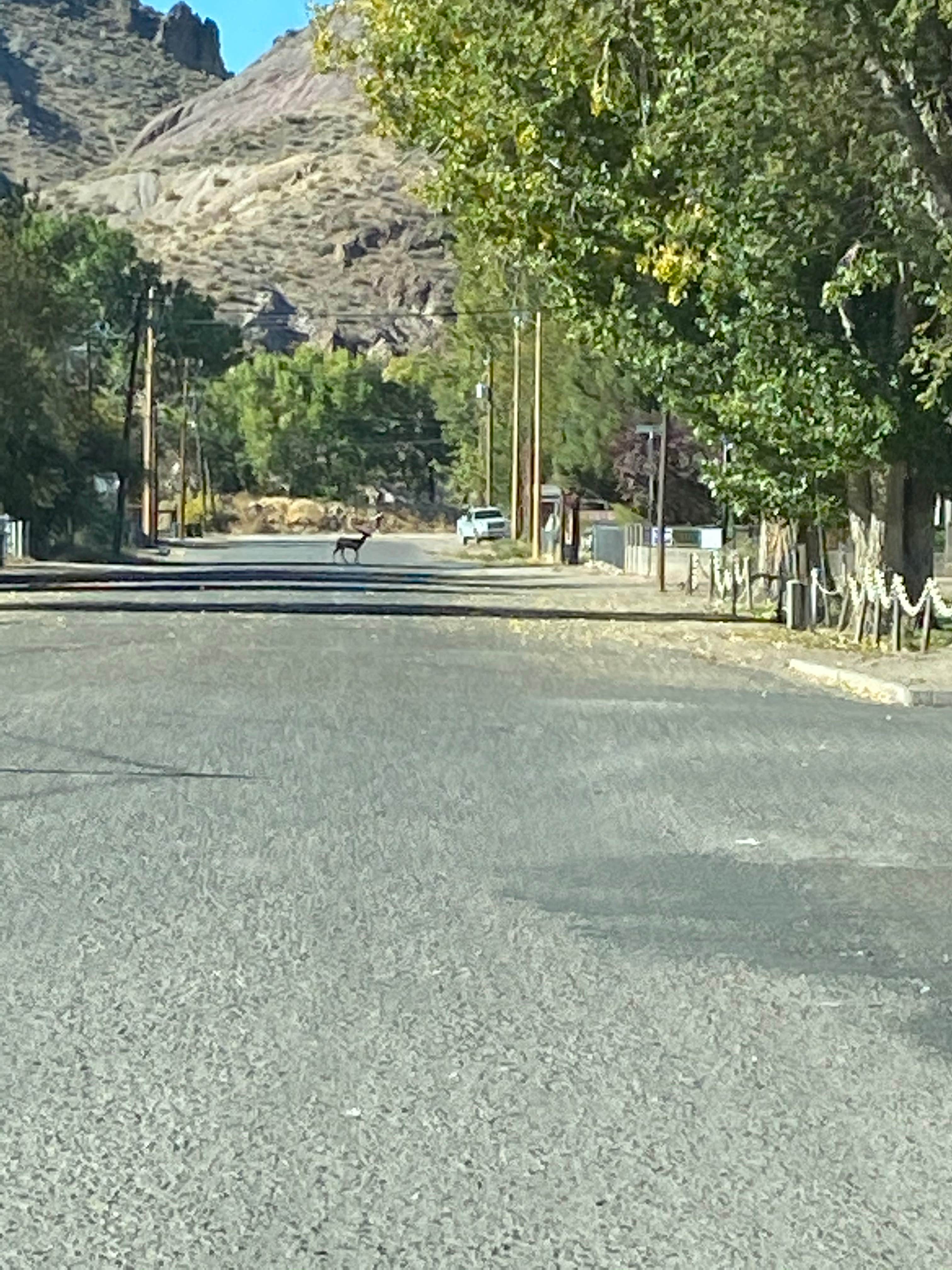 Camper-submitted photo at Young's RV Park near Panaca, NV