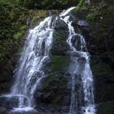 Review photo of Cosby Campground — Great Smoky Mountains National Park by Kelli J., July 11, 2016