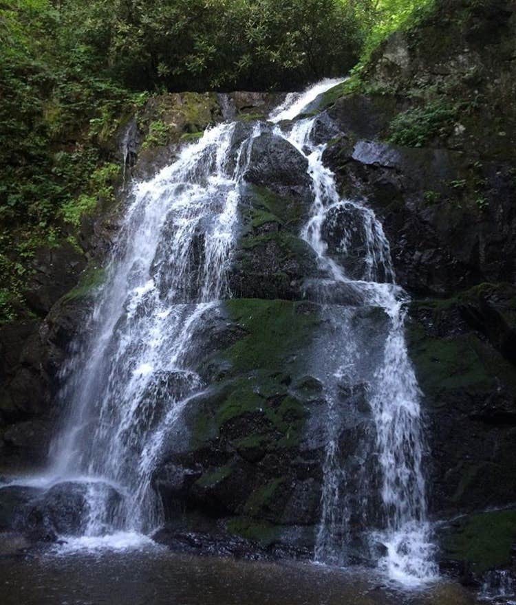 Camper submitted image from Cosby Campground — Great Smoky Mountains National Park - 2