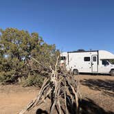 Review photo of Sante Fe National Forest BLM-Road 62 Dispersed by Laura M., November 20, 2020