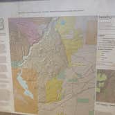 Review photo of Sante Fe National Forest BLM-Road 62 Dispersed by Laura M., November 20, 2020