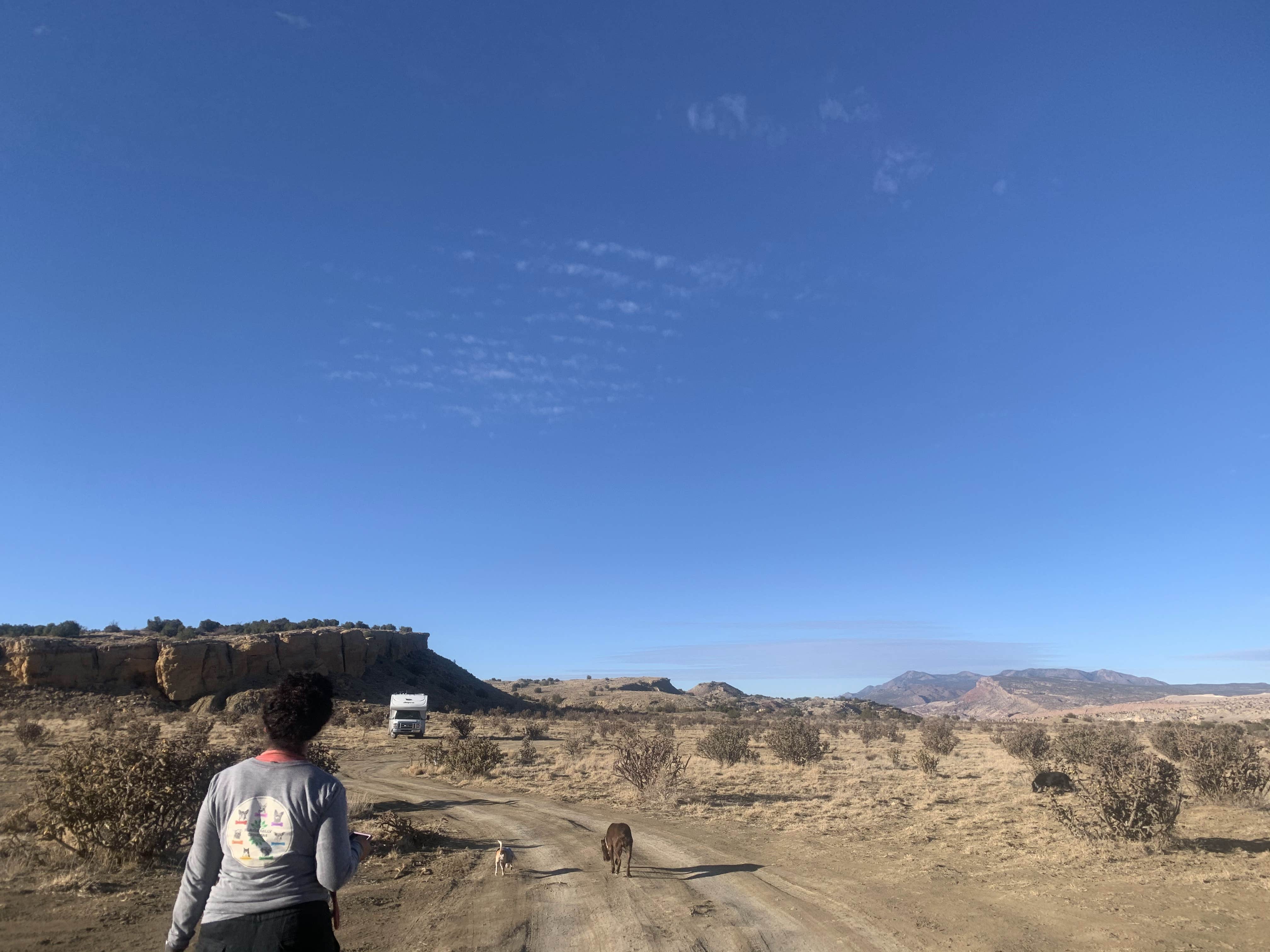 Camper-submitted photo at BLM dispersed camping / Zia Pueblo near Corrales, NM