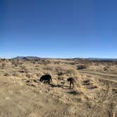 Review photo of BLM dispersed camping / Zia Pueblo by Laura M., November 20, 2020