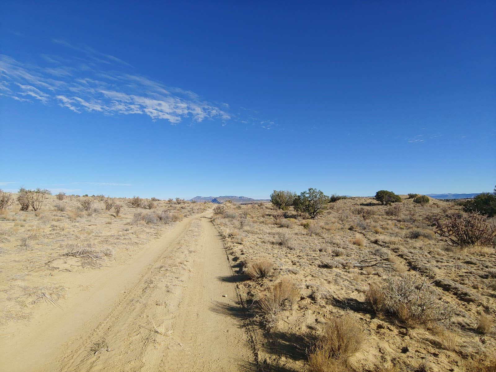 Camper submitted image from BLM dispersed camping / Zia Pueblo - 3