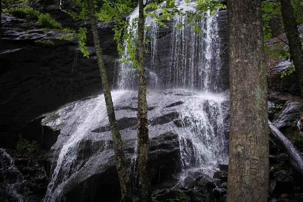 Camper-submitted photo at Spacious Skies Bear Den in North Carolina