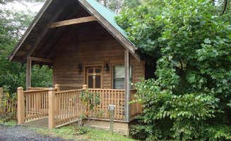 Bear's photo of a cabin at Spacious Skies Bear Den near Burnsville, NC