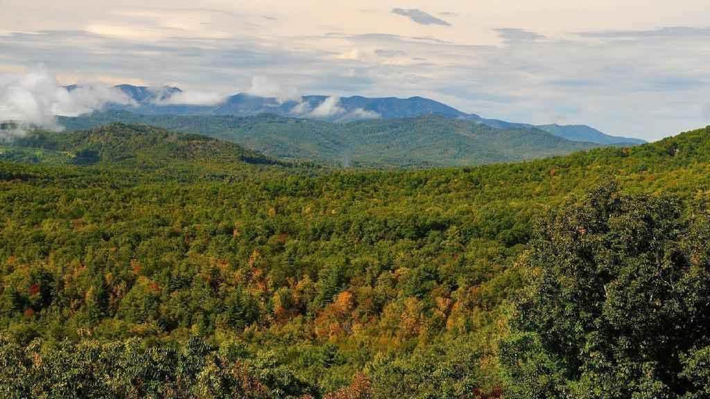 Spacious Skies Bear Den