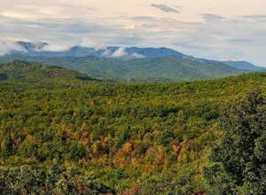 Spacious Skies Bear Den