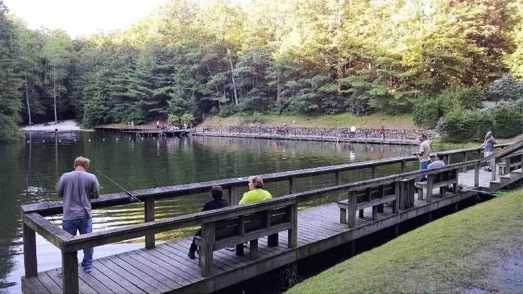 Camper-submitted photo at Spacious Skies Bear Den in North Carolina