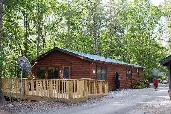 Bear's photo of glamping accommodations at Spacious Skies Bear Den near Elk Park, NC