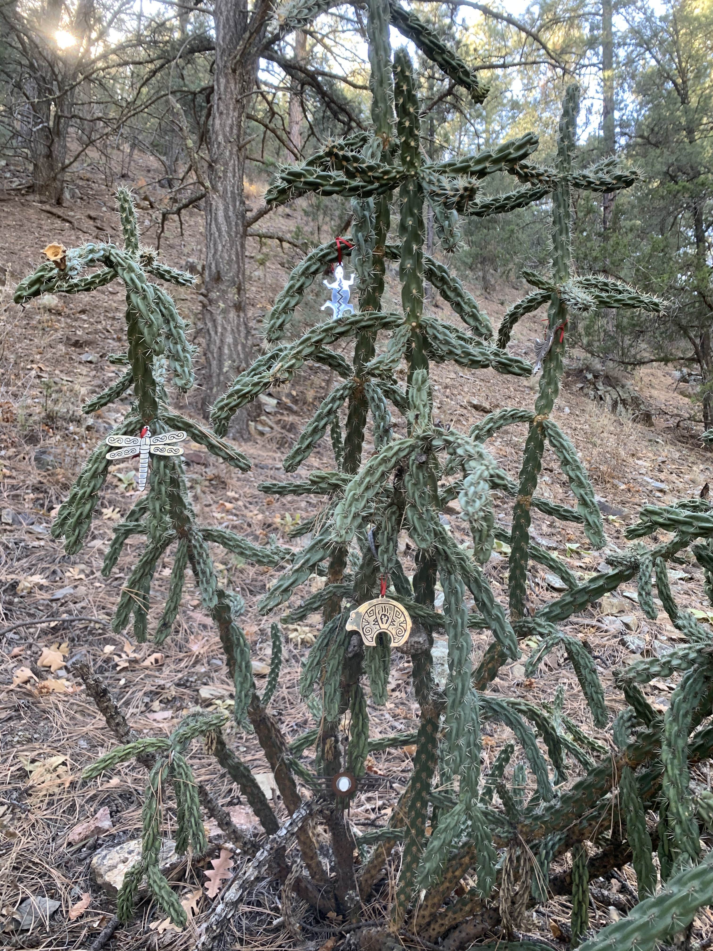 Camper-submitted photo at Water Canyon Campground near San Acacia, NM
