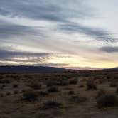 Review photo of Joshua Tree Lake Dispersed Camping by Joe L., November 21, 2020