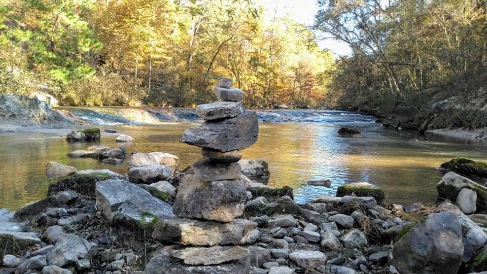 Camper-submitted photo at Kisatchie Bayou Complex near Lecompte, LA