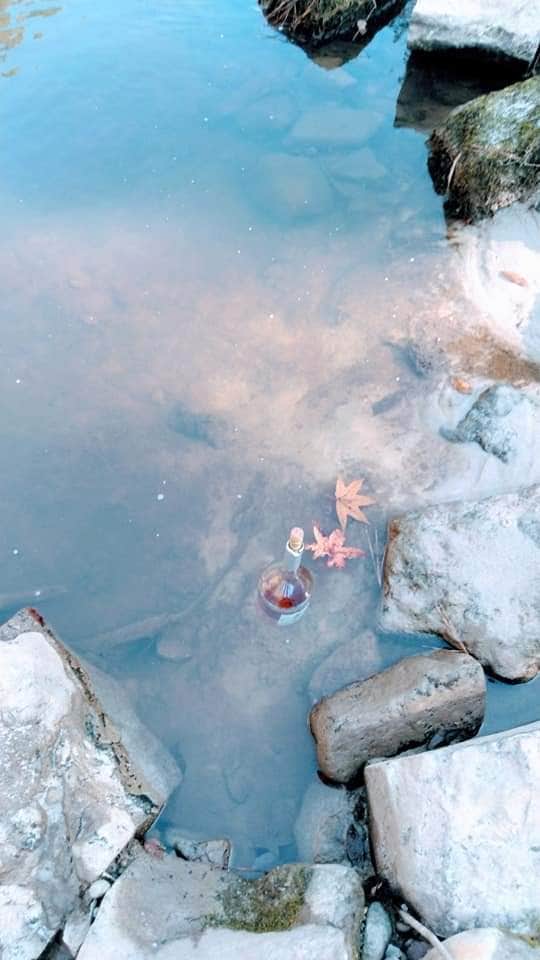 Camper-submitted photo at Kisatchie Bayou Complex near Lecompte, LA