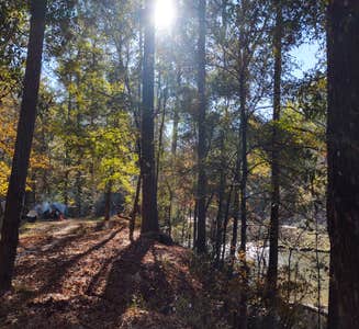 Camper-submitted photo from Kisatchie Bayou Complex
