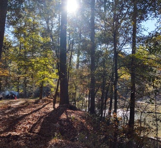 Camper-submitted photo from Kisatchie Bayou Complex
