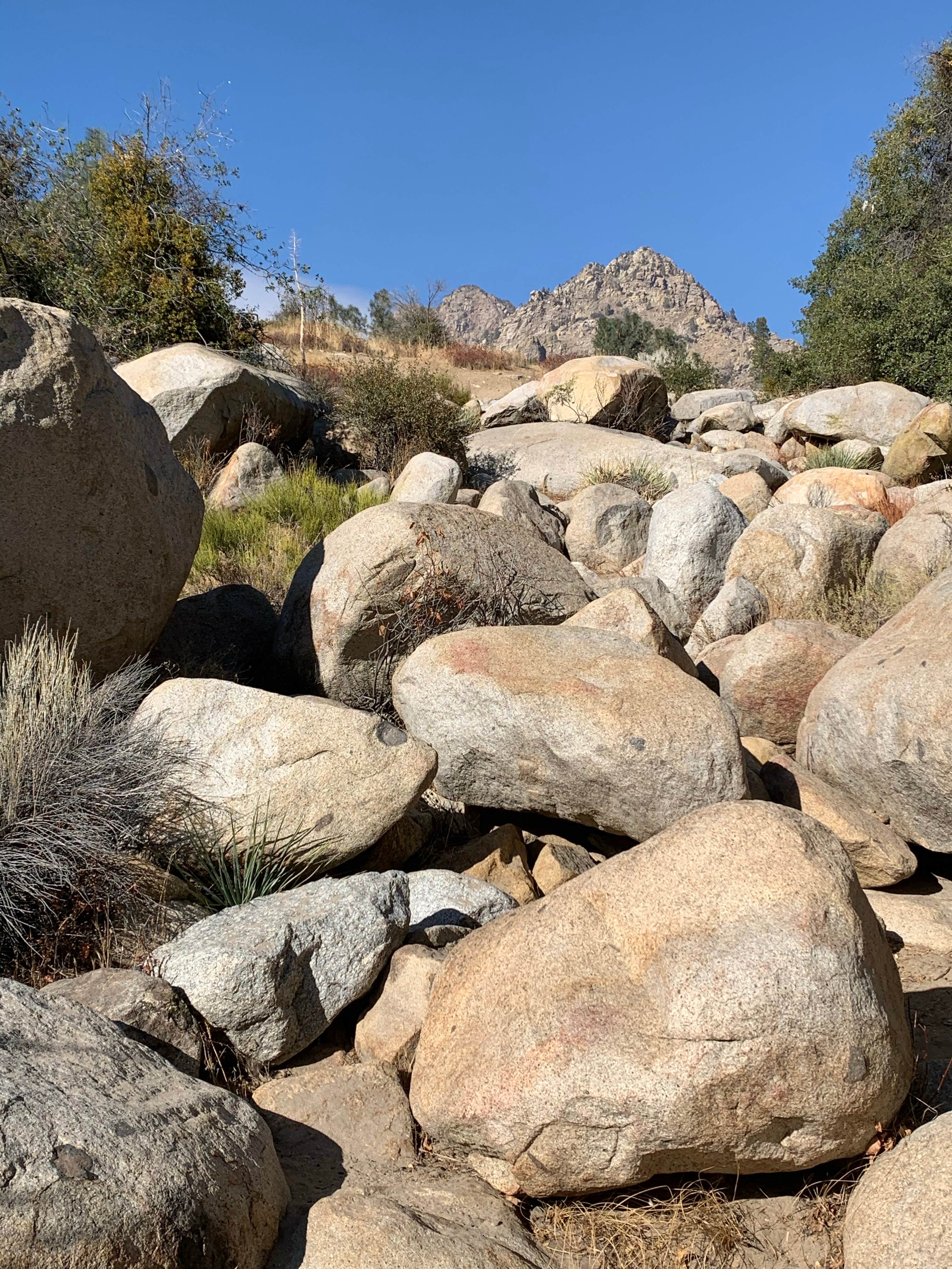 Camper-submitted photo at Ant Canyon near Posey, CA