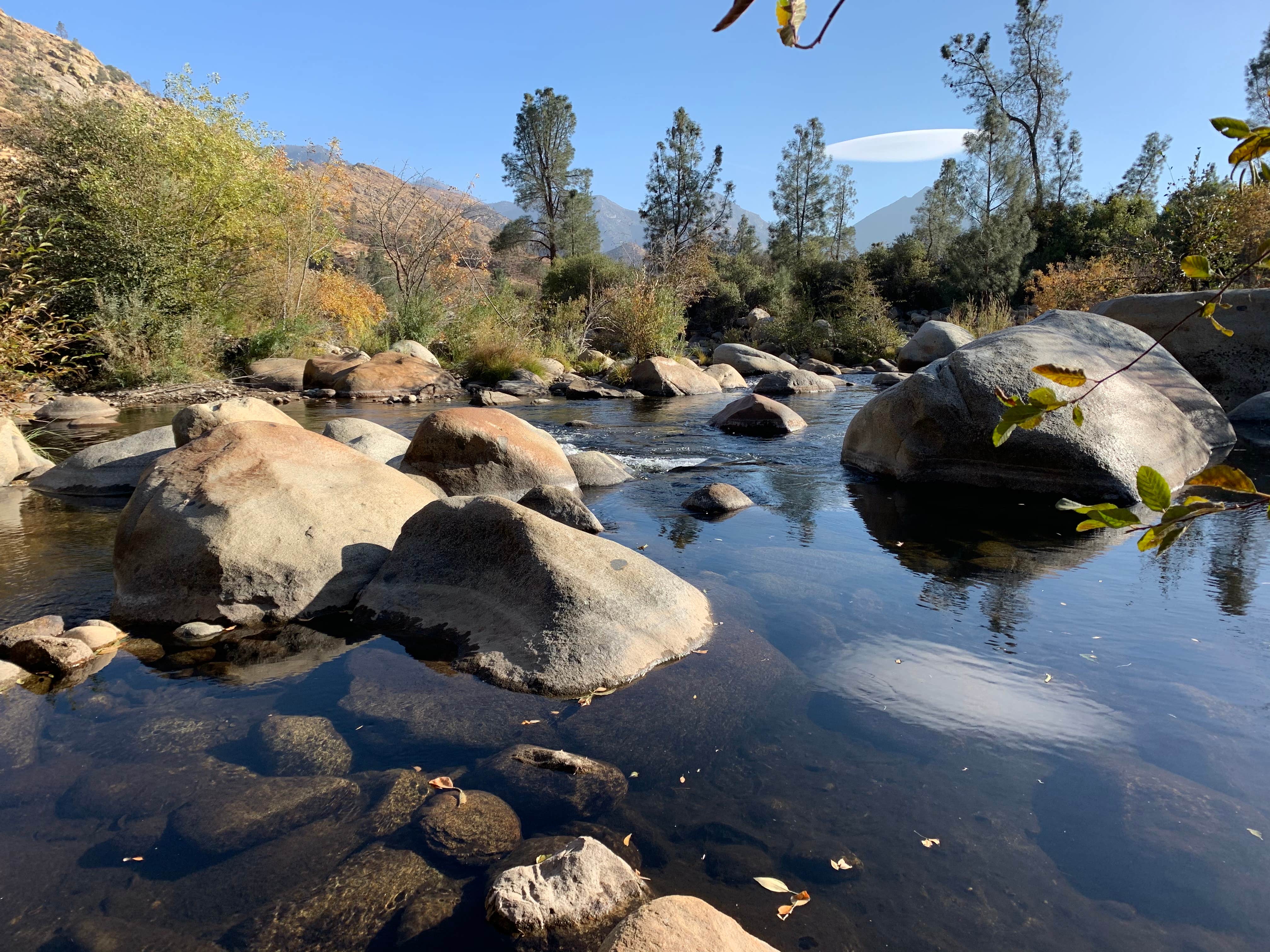 Camper-submitted photo at Ant Canyon near Posey, CA