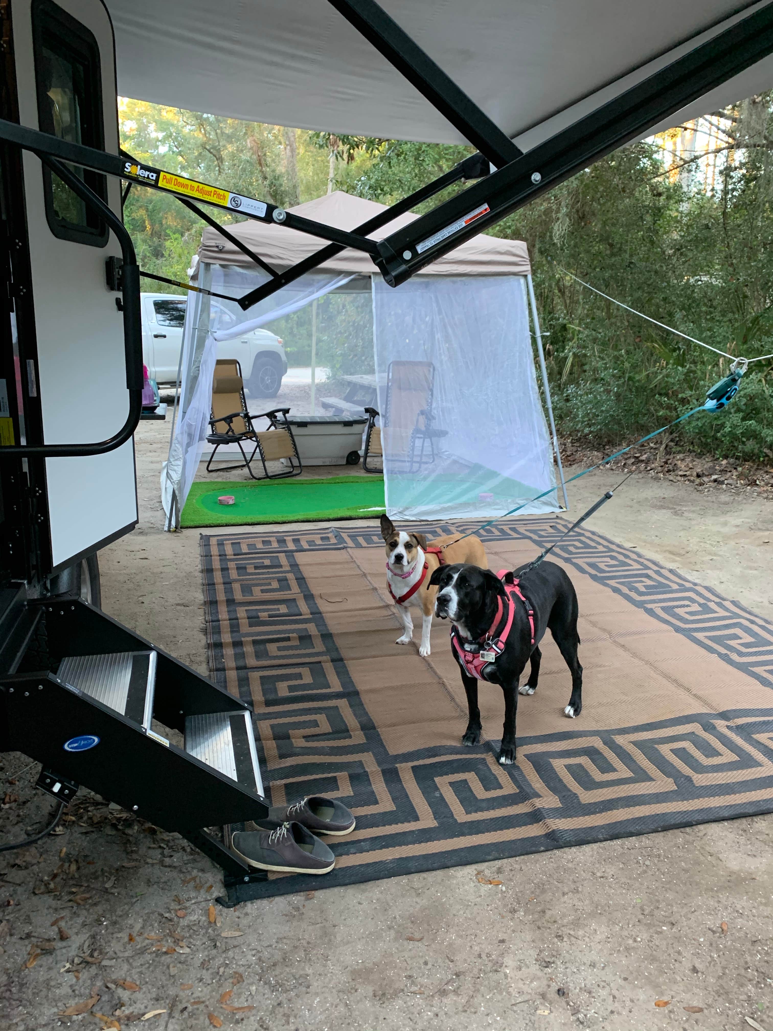 Shelly F.'s photo of camping with pets at Edisto Beach State Park Campground near Summerville, SC