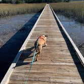 Review photo of Edisto Beach State Park Campground by Shelly F., November 21, 2020