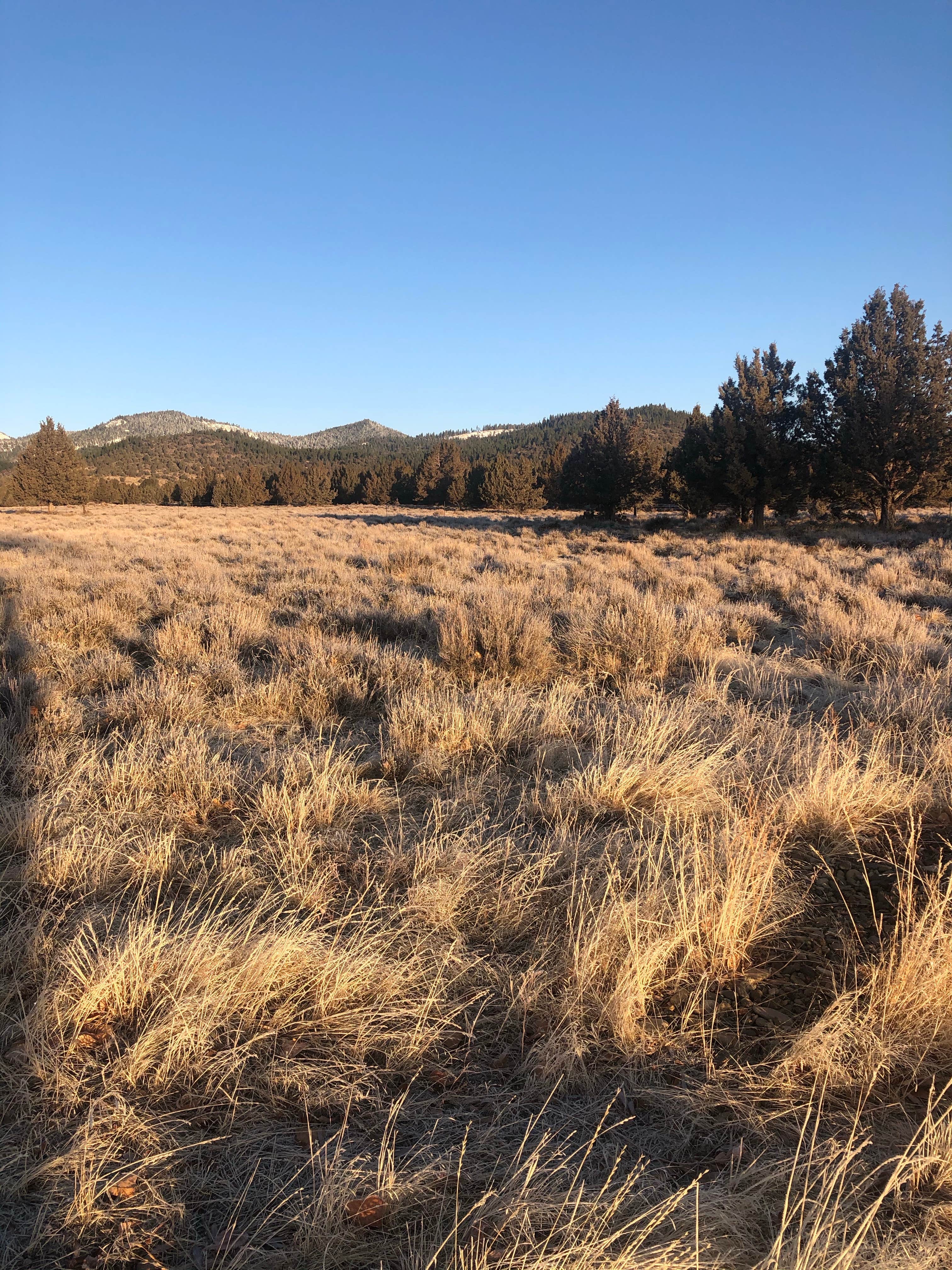 Camper-submitted photo at Junipers Reservoir RV Resort near Adel, OR