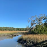 Review photo of Edisto Beach State Park Campground by Shelly F., November 21, 2020