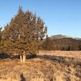 Review photo of Junipers Reservoir RV Resort by Sharon , November 21, 2020