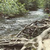 Review photo of Cosby Campground — Great Smoky Mountains National Park by Kelli J., July 11, 2016