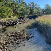 Review photo of Edisto Beach State Park Campground by Shelly F., November 21, 2020