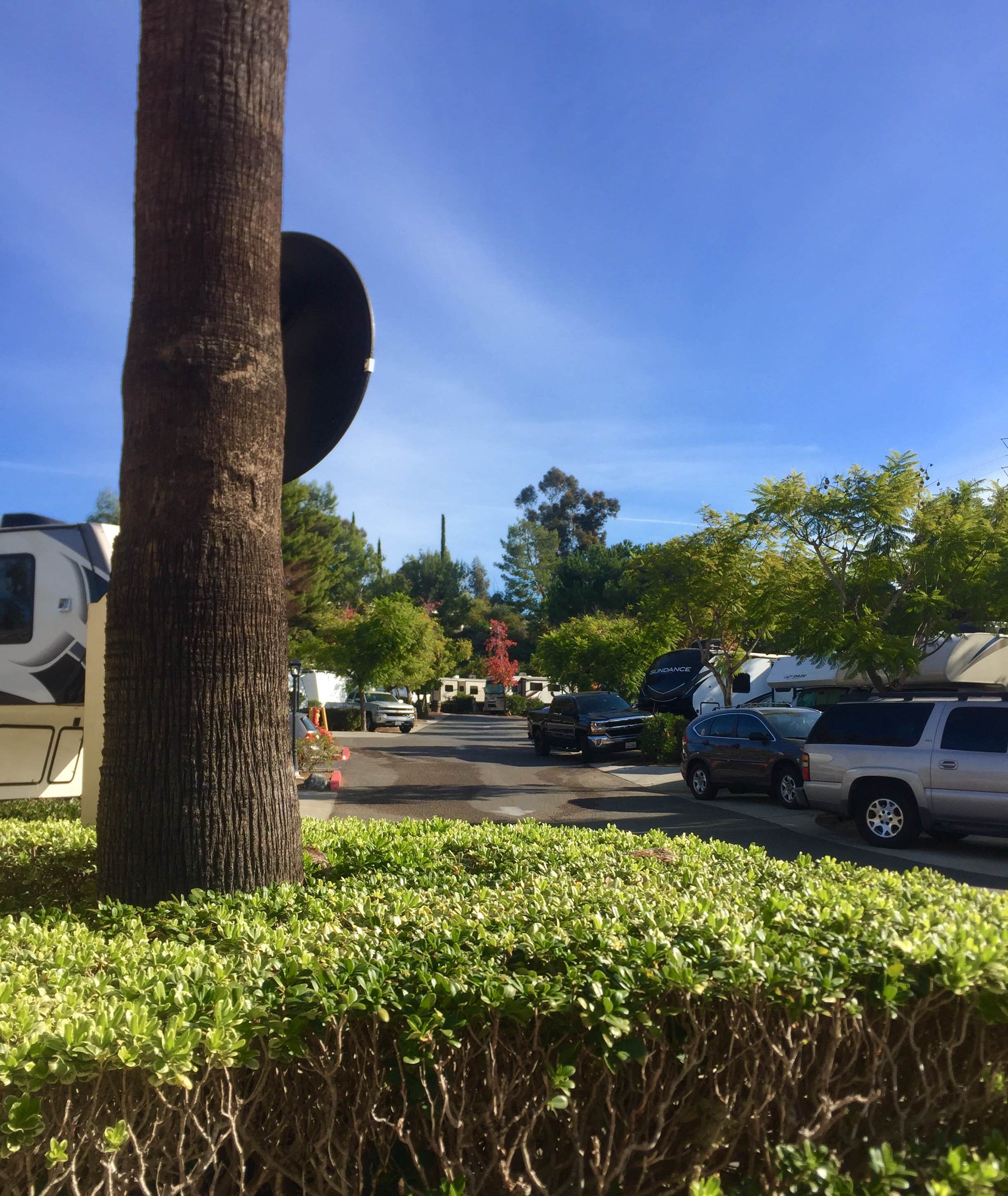 Milagros B.'s photo of rv camping at Escondido RV Resort near Bonita, CA