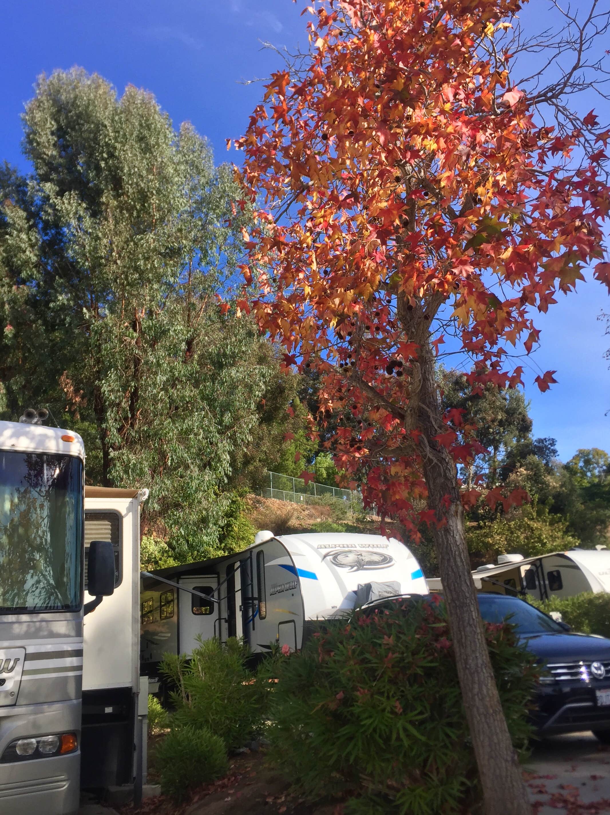 Milagros B.'s photo of rv camping at Escondido RV Resort near Menifee, CA