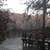 Review photo of Caddo Lake State Park Campground by Wayne P., November 21, 2020