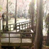 Review photo of Caddo Lake State Park Campground by Wayne P., November 21, 2020