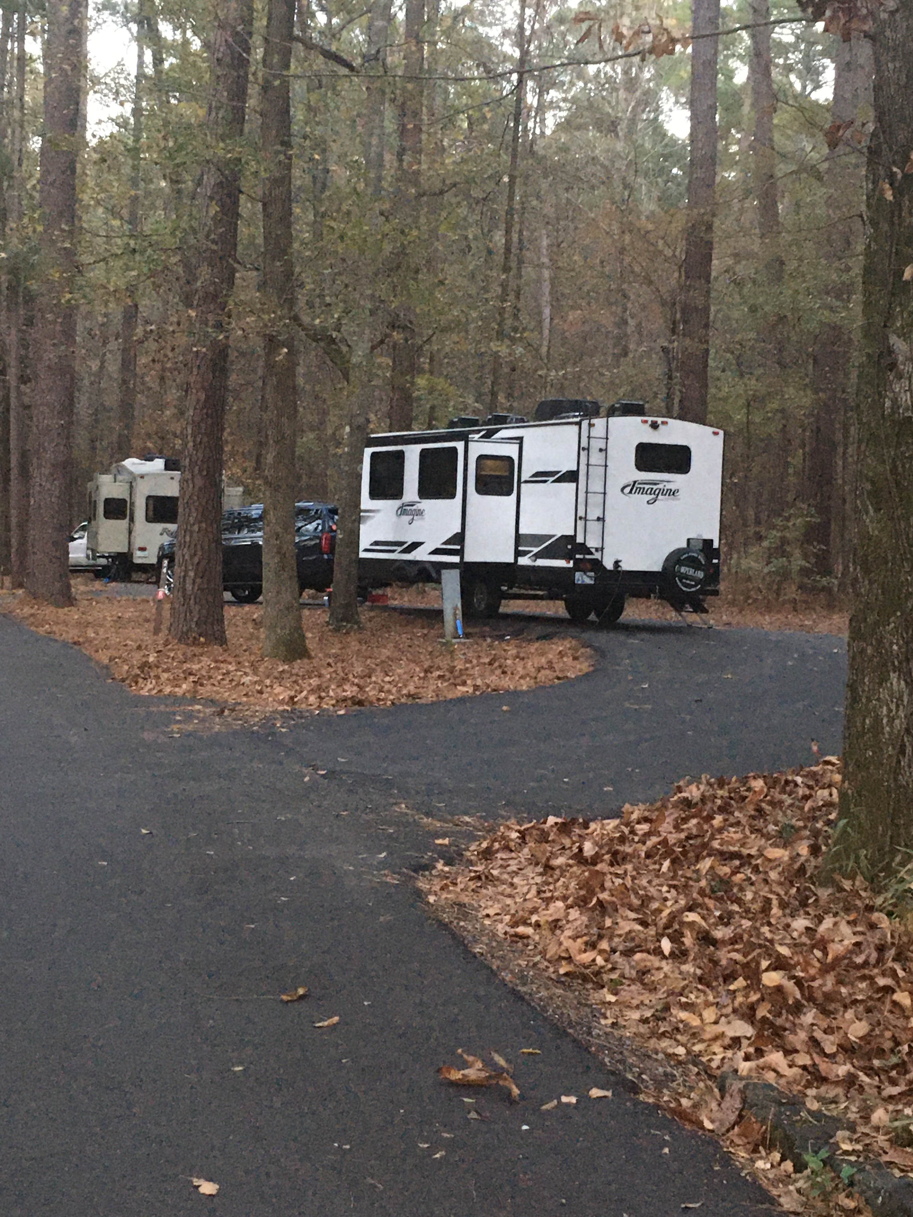 Camper submitted image from Caddo Lake State Park Campground - 4