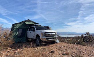 Will's photo at Cholla Bay near Tonto National Forest