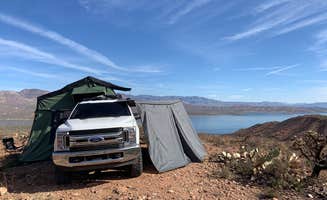 Will's photo at Cholla Bay near Tonto Basin, AZ